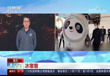 冰墩墩  