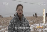 村里回来个“牛经纪”