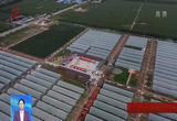 黑龙江首个网红直播基地正式投入运营