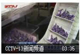 漂洋过海“双十一” 买它！买它！俄网红美食走进中国直播间