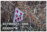 来自水上的神秘狙击
