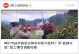 绵阳市盐亭县金孔镇乡村振兴驻村干部“直播带货” 助力果农销售柑橘