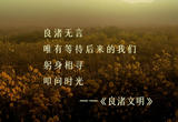 《良渚文明》 第1集 文明之源