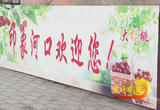 利用网络直播带货为产品代言