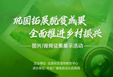 农产品产地冷藏保鲜设施建设进入“快车道”