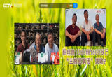 粉丝从1000到1000多万，“三根葱男团”凭啥？