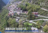 美丽小山村 处处是产业