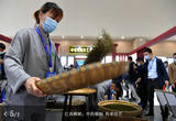 中药炮制 传承技艺