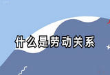 什么是劳动关系