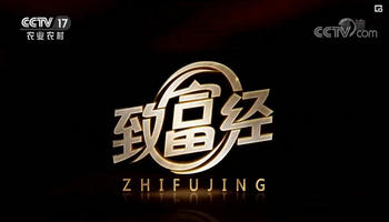 我和秋天有个约 神奇“数字”