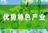 善于运用科学思维方法 全面推进乡村振兴落地见效