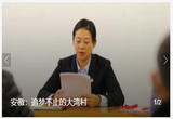 【新时代新征程新伟业】安徽：追梦不止的大湾村