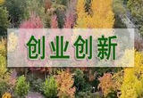 让“最可爱的人”成为“最有用的人”