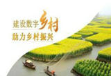 中国数字乡村建设经验受国际专家好评