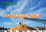 喜迎“十九连丰” “东北粮仓”粮满仓