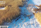 -42℃ 极寒天气边防官兵策马巡边
