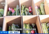 山西河曲：今年冬季第一茬温室大棚蔬菜收获