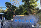 科技“达沃斯”来了 云南准备得如何