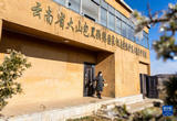 高原的守望 黑颈鹤吟唱的地方
