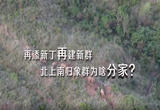 聚焦COP15|云南北上南归象群添丁分家了
