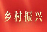 《乡村振兴责任制实施办法》