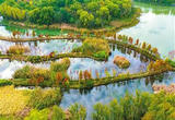 中国坚定保护生物多样性
