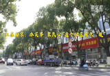 江苏南京：办实事 聚民心 这个社区有点“暖”