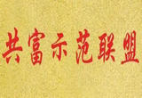浙江文成：“共富经理人”串起乡村“共富链”