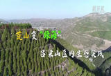 荒山变“绿海”——吕梁山区的生态实践