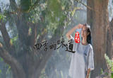 【四季的味道】彼美玉山果 千年中国榧