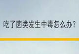 哪些菌类不能食用？这些安全提示请查收