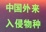 《重点管理外来入侵物种名录》