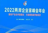 两岸企业家瞄准产业“数字化”和“低碳化”转型合作机遇