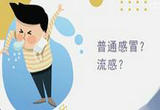 流感传染性强传播速度快 危害远超想象