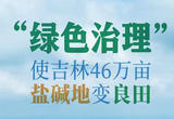 “绿色治理”使吉林46万亩盐碱地变良田