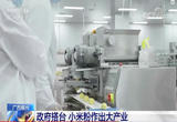 广西柳州：政府搭台 小米粉作出大产业