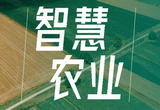 “智慧大棚产量质量双提高”（乡村新事）