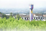 艺术风景留在家门口（艺术改变乡村）