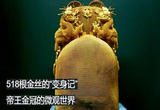 第5集 金丝翼善冠