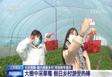 振兴美丽乡村 同享新年喜乐
