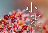 小寒节气养生指南