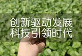 涵养优良学风，壮大农业科技创新力量