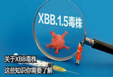 关于XBB，哪些知识你需要了解？