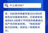 六问六答带你了解XBB变异毒株关键点
