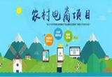 汇聚力量，乡村振兴全面推进