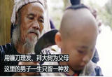  第4集 草木之间