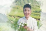 传承制茶技艺的年轻人
