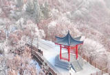 内蒙古现罕见雾凇美景