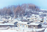 林深炊烟起  雪满木屋村（走进传统村落）