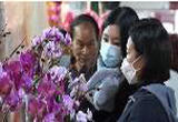广东广州 春节近 年味浓 春意浓 年花市场人流攒动